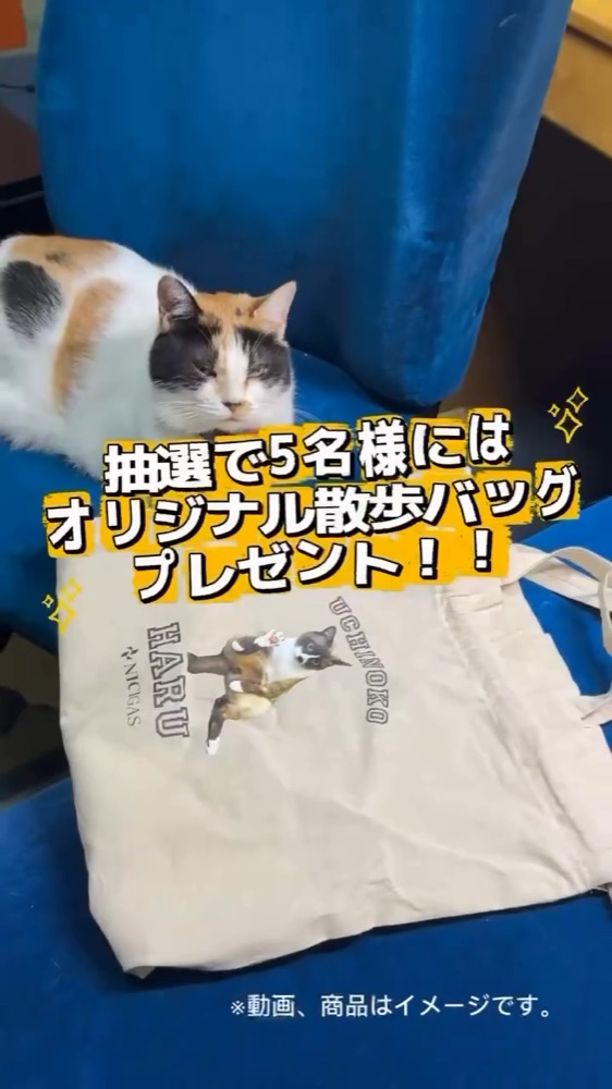 抽選で当たるオリジナル散歩バッグ