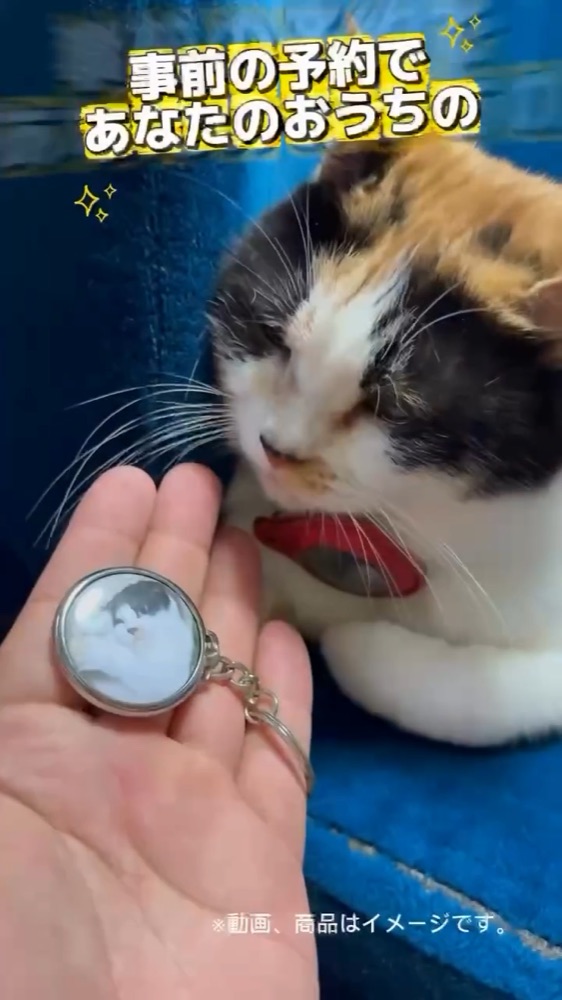 愛犬・愛猫の写真で作るオリジナルペットキーホルダー